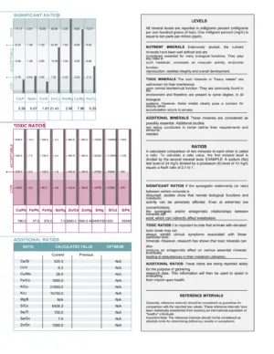 Equine Sample Page 2