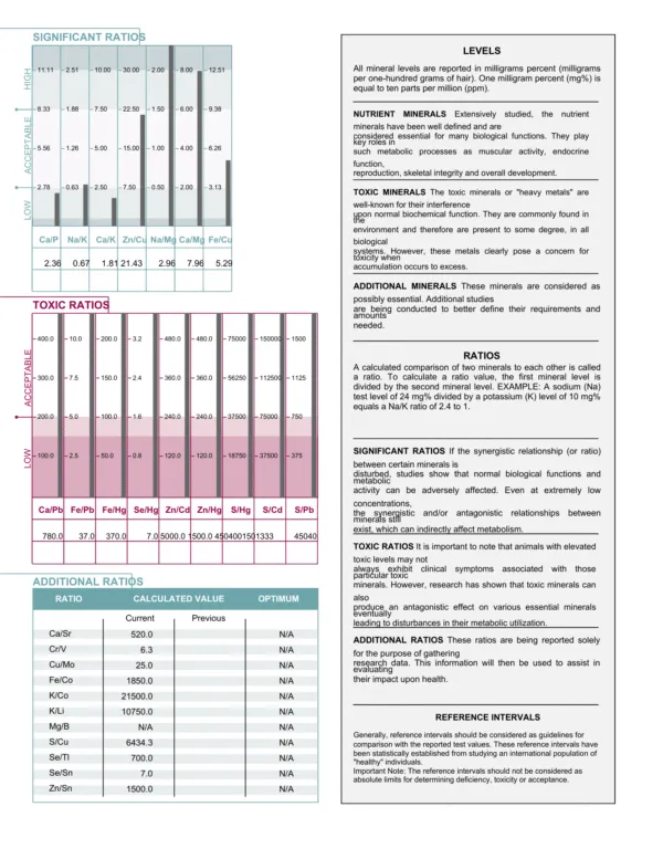 Equine Sample Page 2