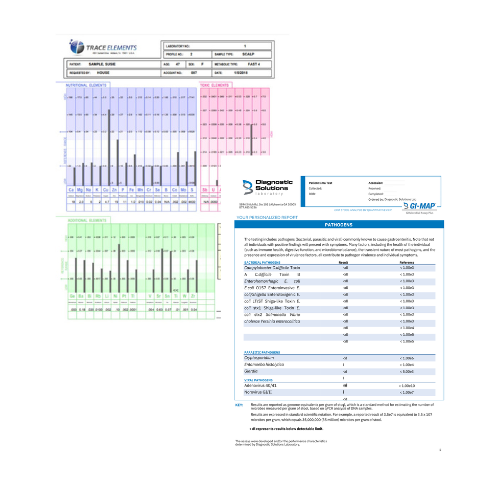 GI Map & HTMA gi map HTMA bundle