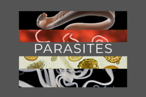 parasites