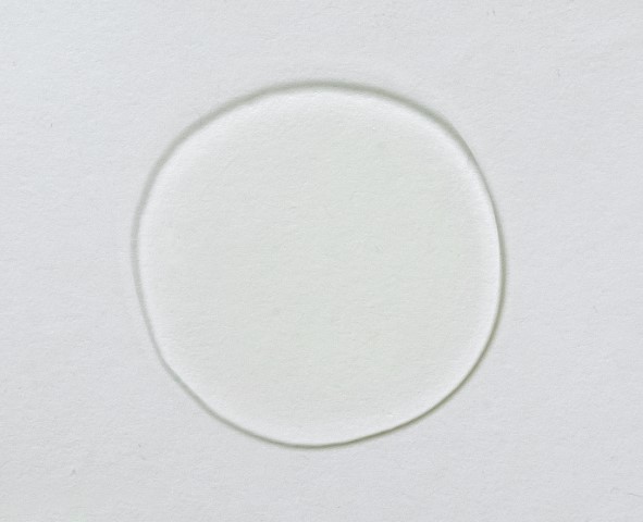 Green Tea Citrus Cleanser | Skin Script